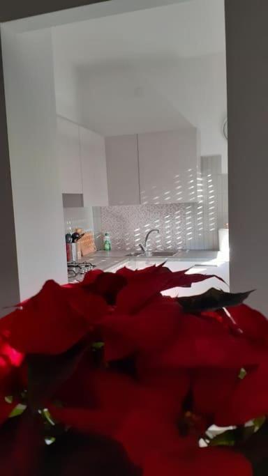 Lo Tsanty Casa Vacanza Аоста Екстер'єр фото